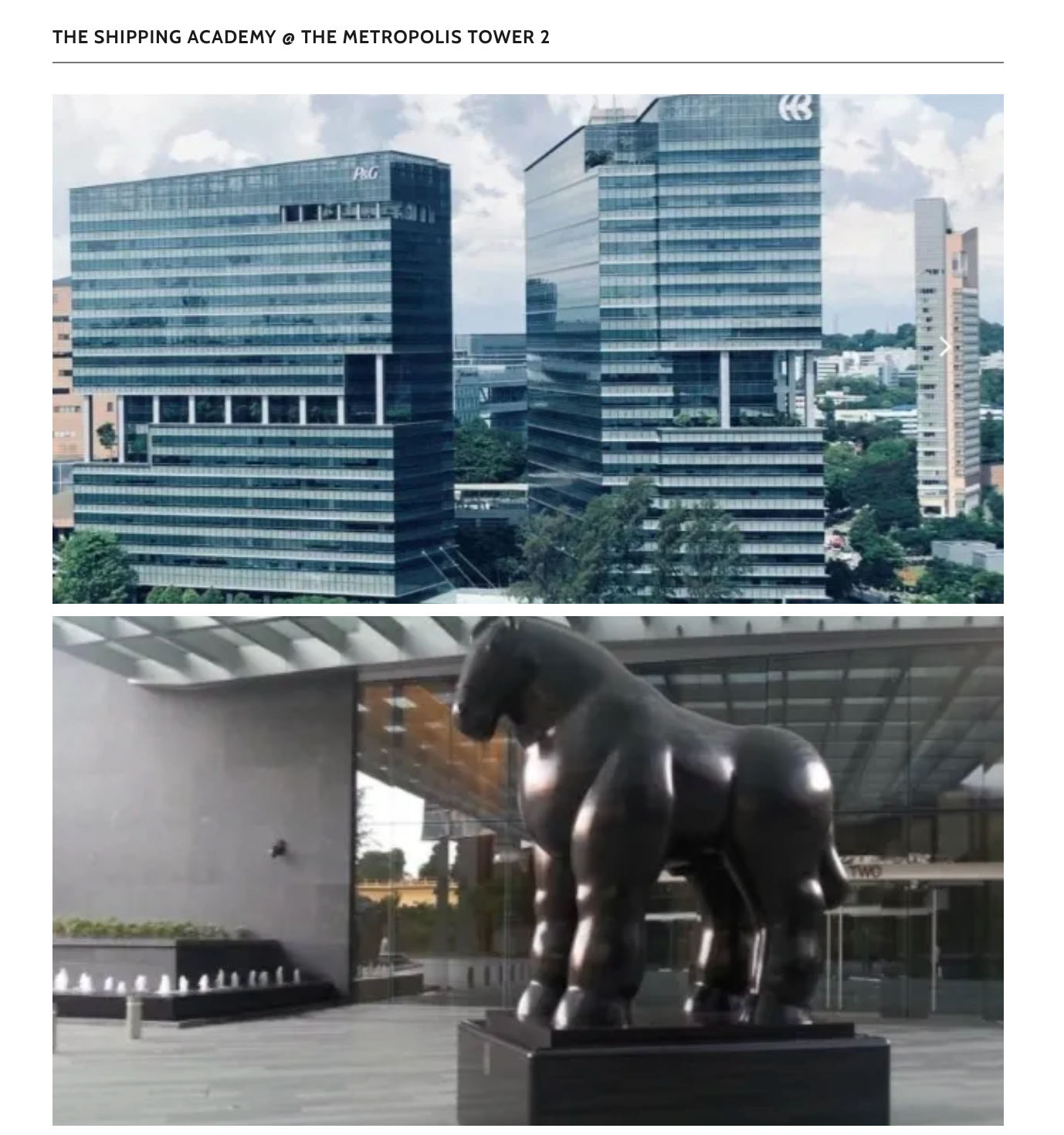 The Metropolis Tower 2, Buona Vista — home of TSA The Shipping Academy, showing the iconic horse sculpture in the courtyard